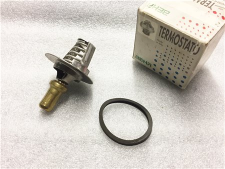 Valvola Termostato RENAULT Clio R19 - Behr H02786